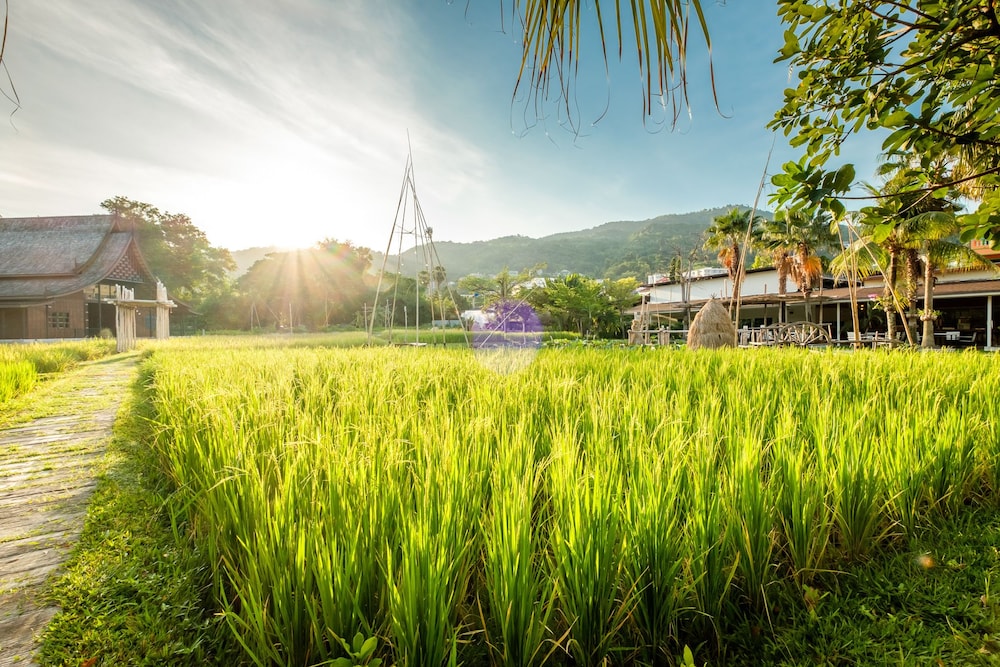 Naina Resort & Spa — Attractions in the area in Patong Beach, Phuket Province