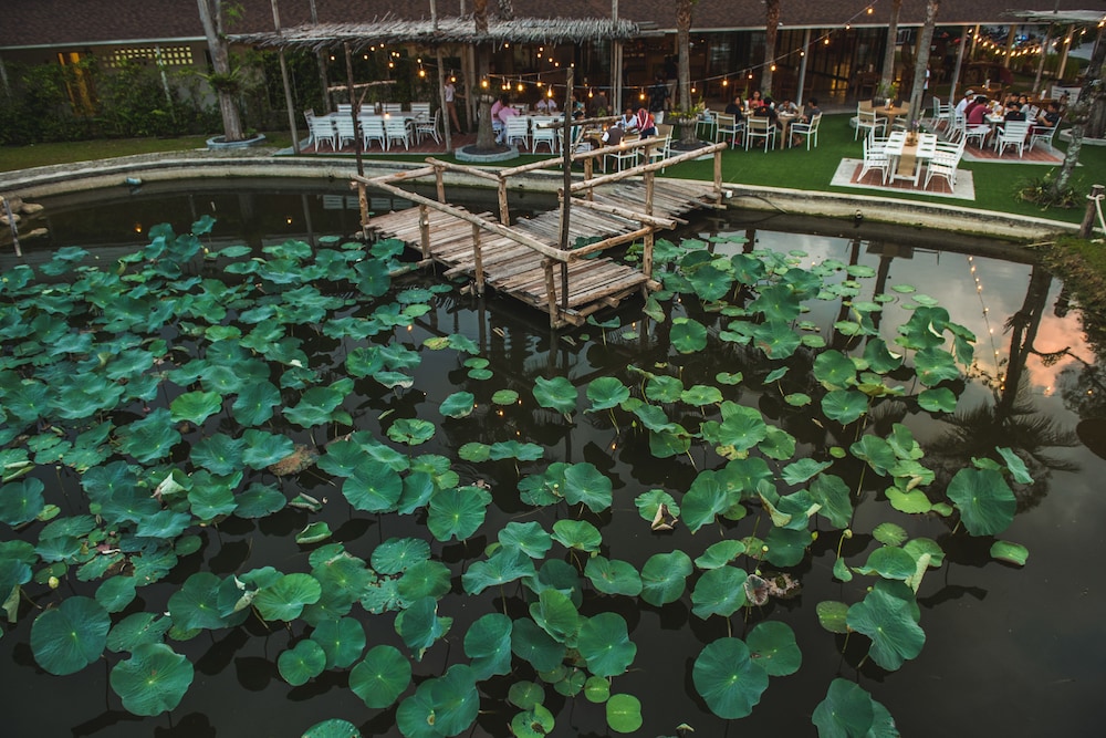 Naina Resort & Spa — Restaurant & bars in Patong Beach, Phuket Province