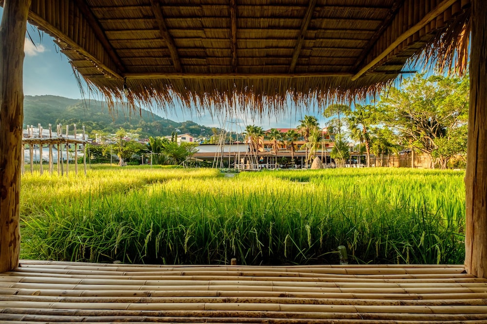 Naina Resort & Spa — Attractions in the area in Patong Beach, Phuket Province