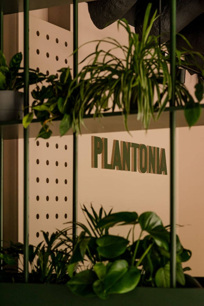 Plantonia — Restaurant & bars in Krakow, Lesser Poland