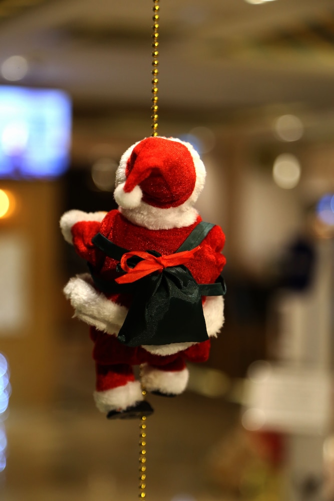 Sealife Lounge Hotel - Adult Only — Attractions for children in Antalya