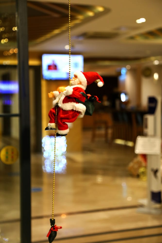 Sealife Lounge Hotel - Adult Only — Attractions for children in Antalya