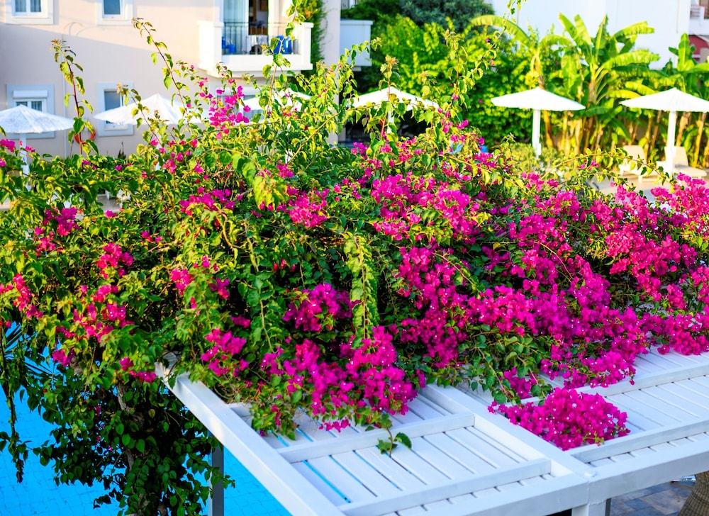 Peridis Family Resort — Hotel building in Kos Town, South Aegean