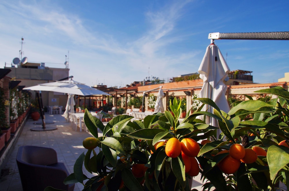 Domus Australia — Restaurant & bars in Rome, Lazio