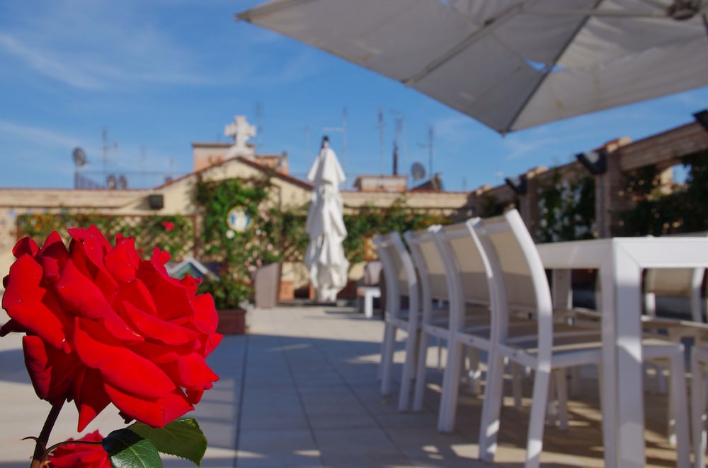 Domus Australia — Restaurant & bars in Rome, Lazio