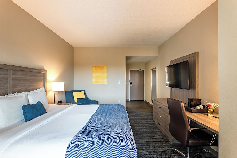 Pestana Orlando Suites - Lake Buena Vista — Hotel rooms in Orlando, Florida