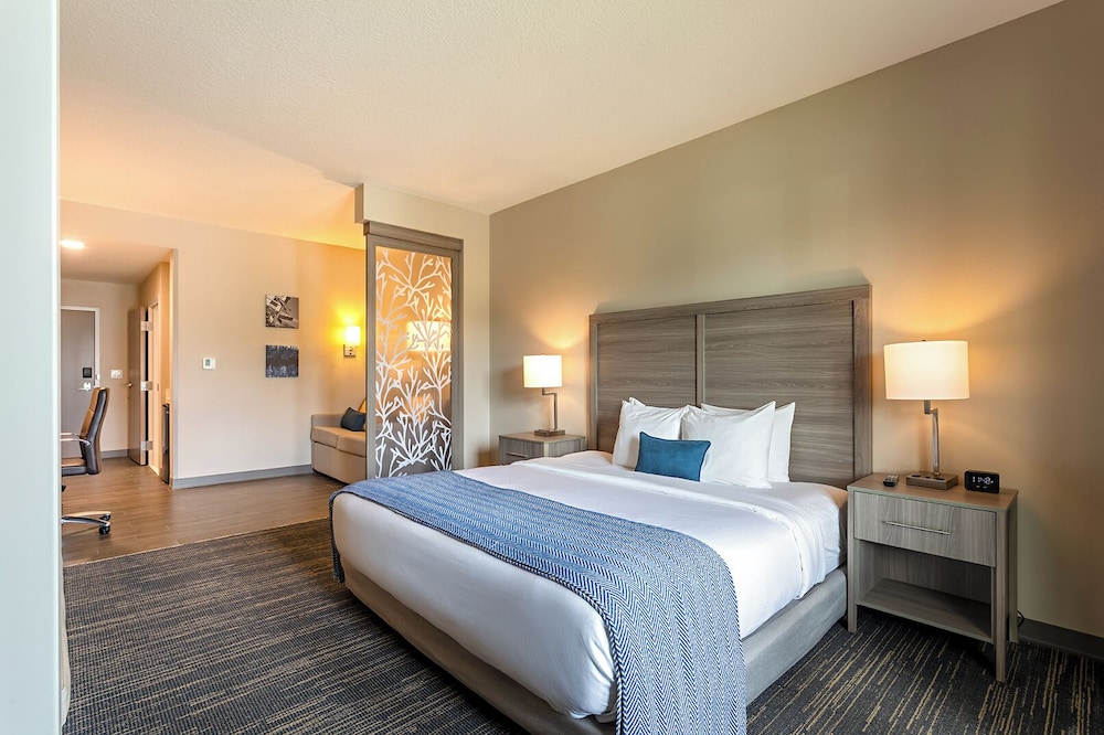 Pestana Orlando Suites - Lake Buena Vista — Hotel rooms in Orlando, Florida
