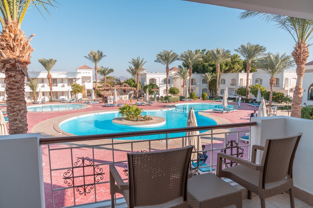 Viva Sharm Hotel — Pool in Sharm El Sheikh, Red Sea