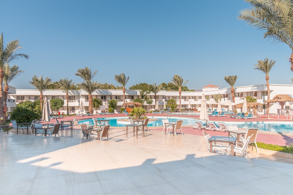 Viva Sharm Hotel — Main photo in Sharm El Sheikh, Red Sea
