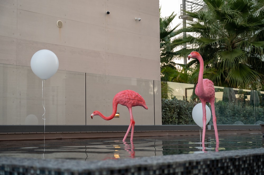 Mercure Larnaca Beach Resort — Swimming pool in Oroklini, Larnaca Region