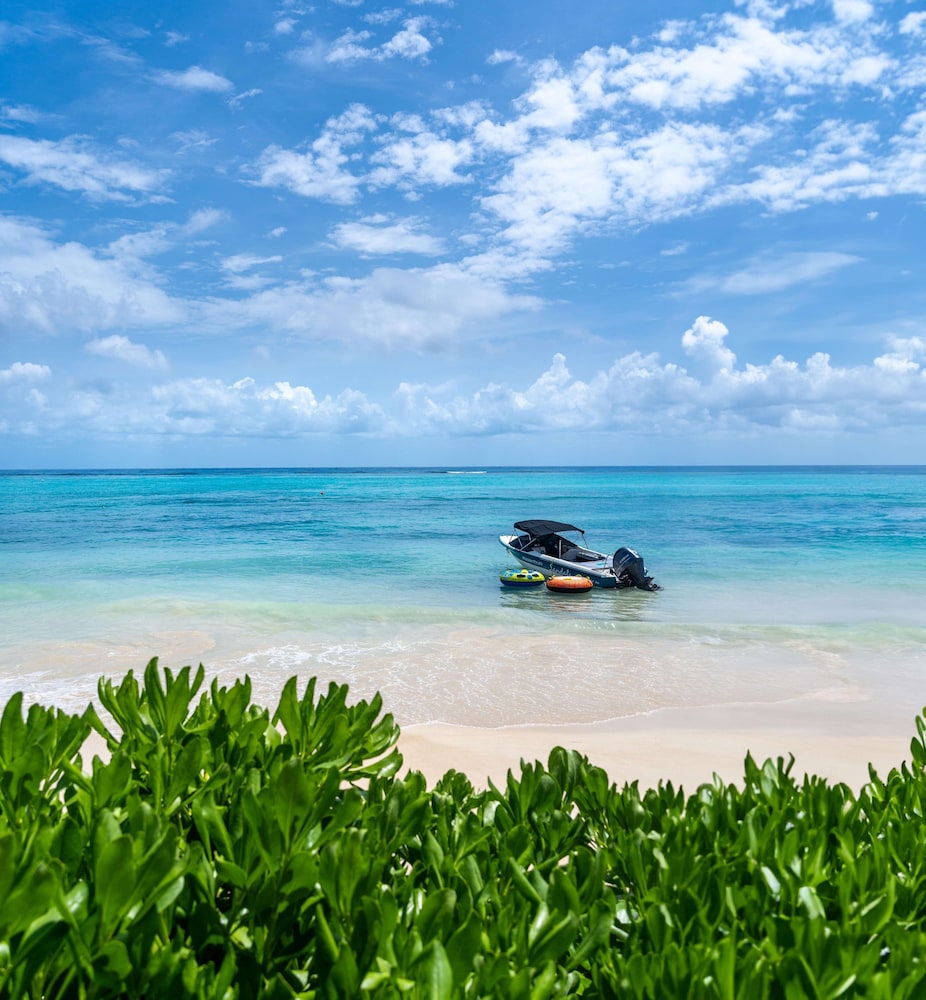 Sandals Jamaica Dunn's River All Inclusive Adults Only — Beach in Ocho Rios
