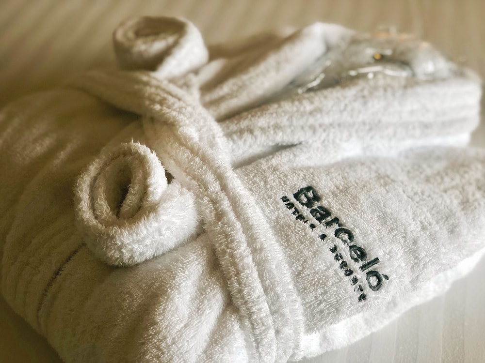 Barceló Warsaw Powiśle — Hotel rooms in Warsaw, Masovian