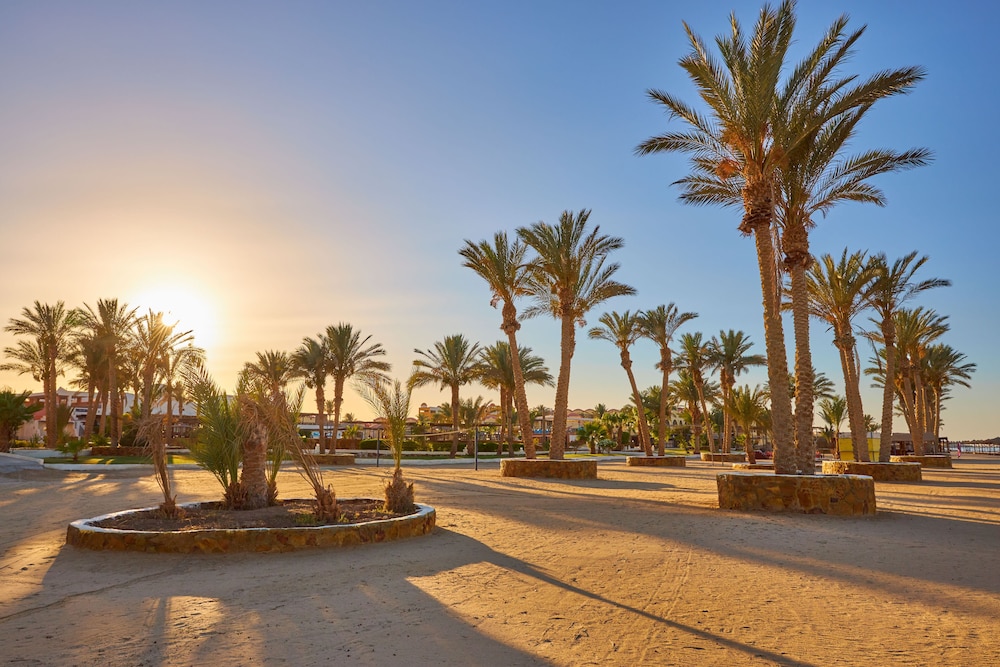 Protels Crystal Beach Resort — Beach in Marsa Alam, Red Sea