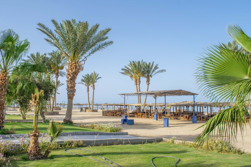 Protels Crystal Beach Resort — Beach in Marsa Alam, Red Sea