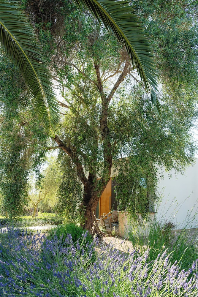 Agroturismo Malbuger Nou - Adults only — Hotel building in Mahon, Balearic Islands