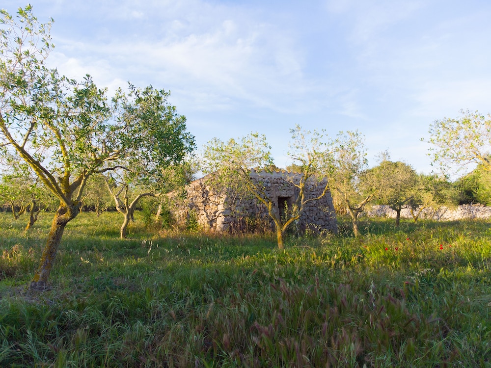 Agroturismo Malbuger Nou - Adults only — Attractions in the area in Mahon, Balearic Islands