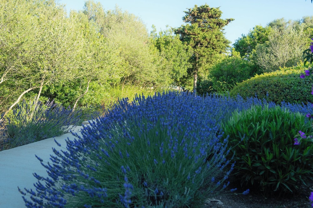 Agroturismo Malbuger Nou - Adults only — Attractions in the area in Mahon, Balearic Islands
