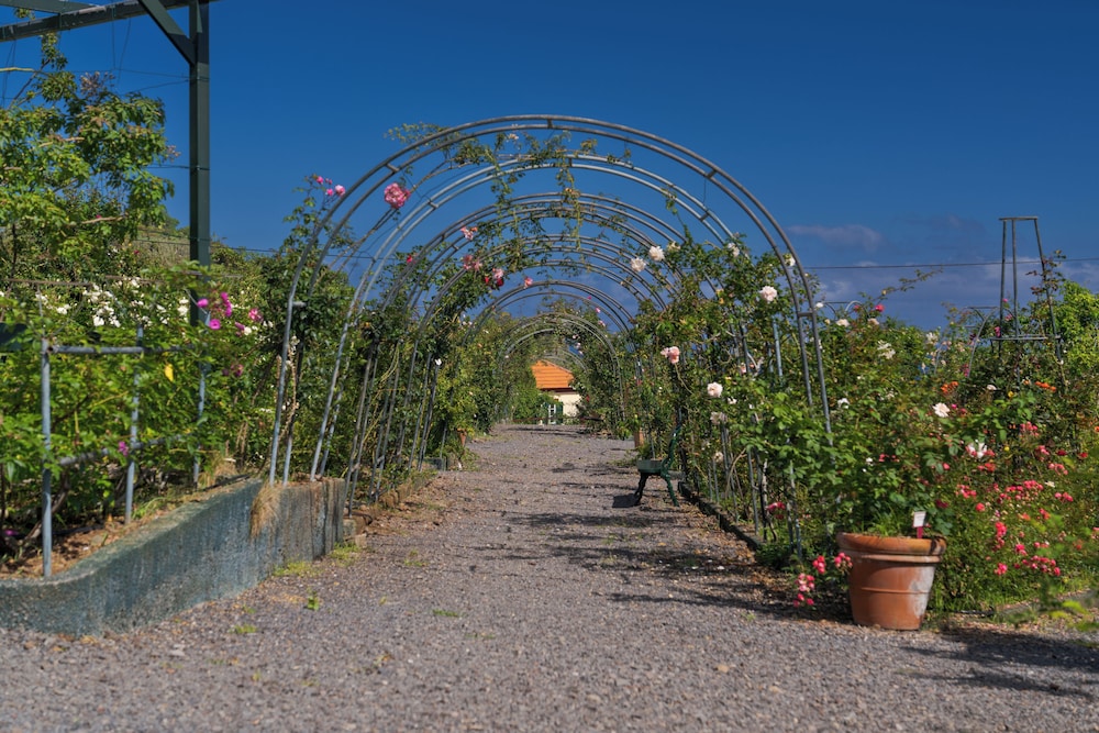 Pestana Quinta do Arco Nature & Rose Garden Hotel — Attractions in the area in Santana, Madeira