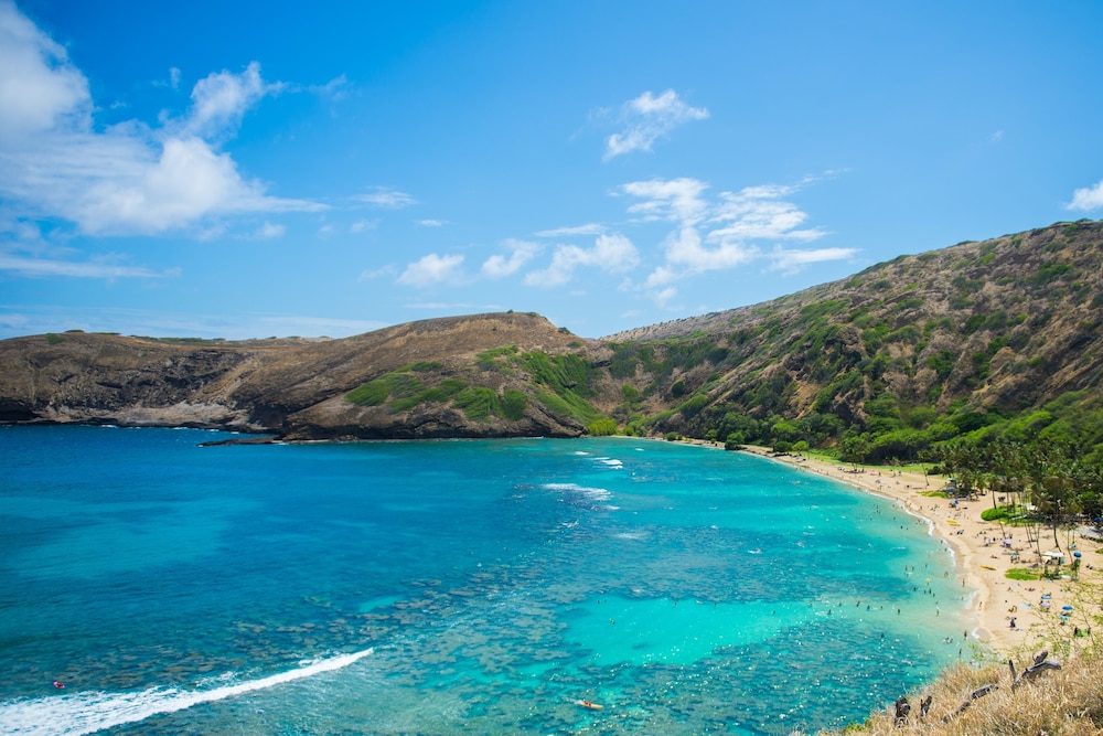 Wayfinder Waikiki — Attractions in the area in Honolulu, Hawaii