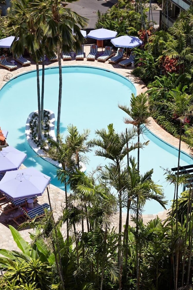 Wayfinder Waikiki — Swimming pool in Honolulu, Hawaii
