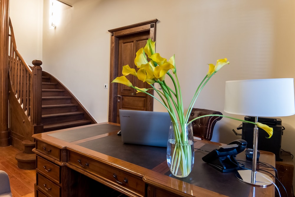 Boutique Villa Filaus — Hotel building in Dubrovnik, Dubrovnik-Neretva