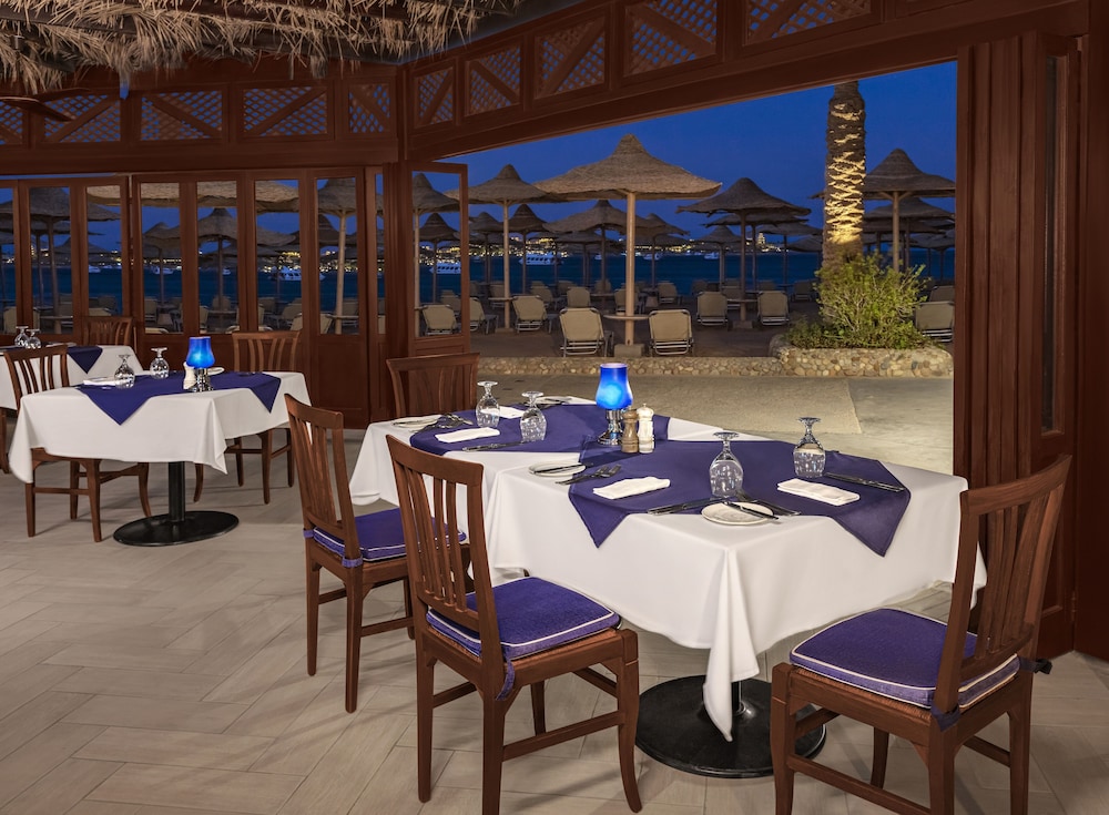 JAZ Neo Saraya Palms - All inclusive — Restaurant & bars in Makadi Bay, Red Sea