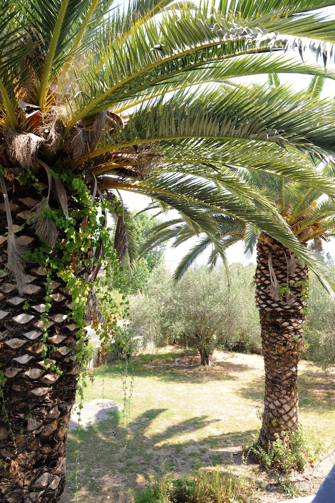 Captain's Studios & Apartments — Attractions in the area in Lefkimmi (Corfu), Ionian Islands