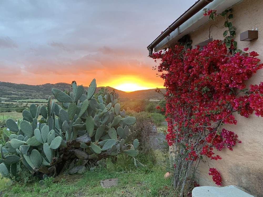 Hotel Glamping Borgo di Campagna — Attractions in the area in Loiri Porto San Paolo, Sardinia