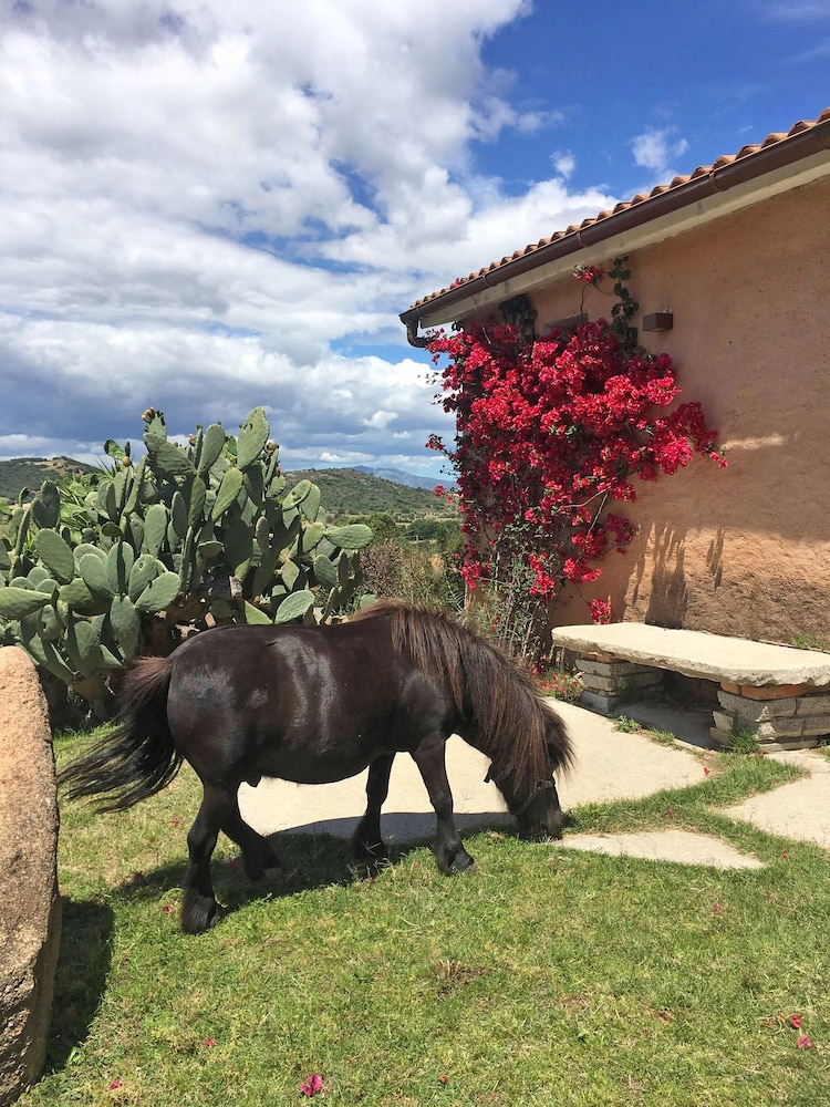 Hotel Glamping Borgo di Campagna — Hotel building in Loiri Porto San Paolo, Sardinia