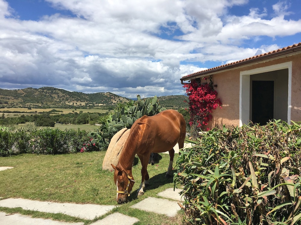 Hotel Glamping Borgo di Campagna — Attractions in the area in Loiri Porto San Paolo, Sardinia