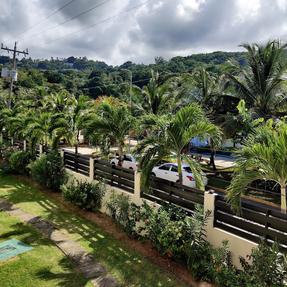 Fisherman's Point Ocean View Hotel — Attractions in the area in Ocho Rios