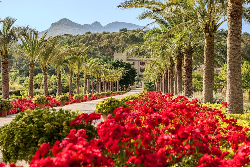 Castell Son Claret - The Leading Hotels of the World — Attractions in the area in Andratx, Balearic Islands