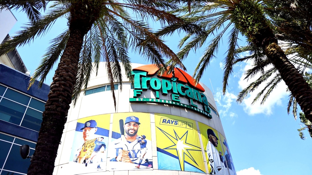 Staybridge Suites St. Petersburg Downtown by IHG — Attractions in the area in Gulfport, Florida