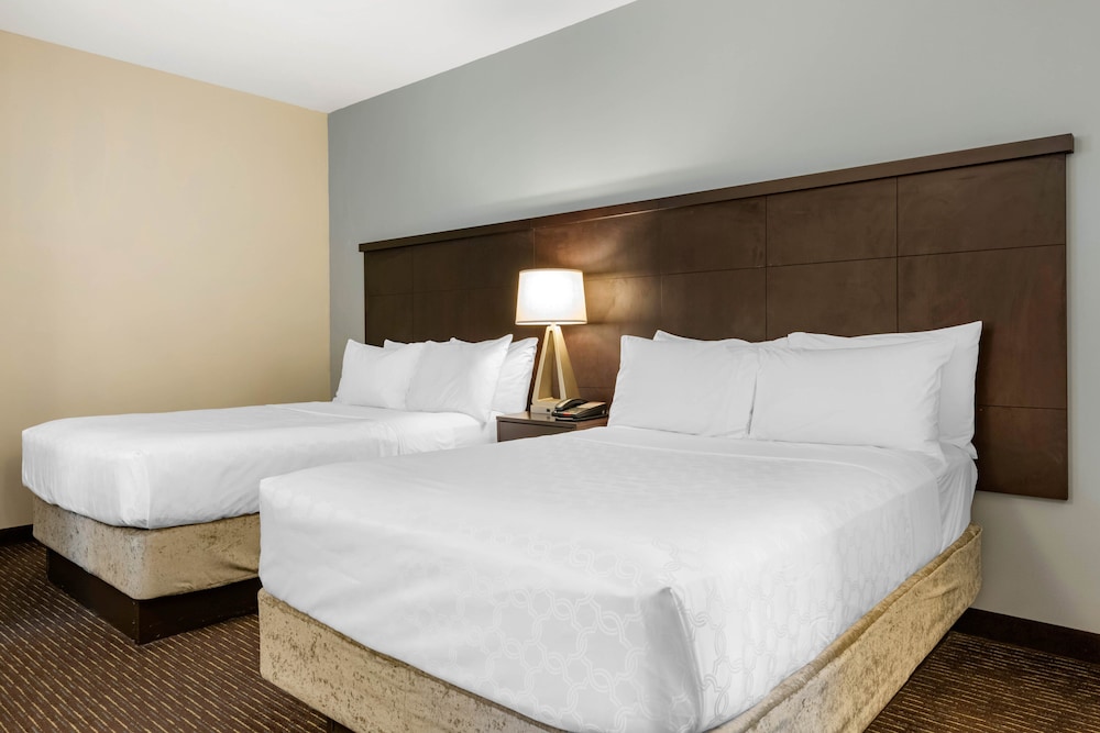 Staybridge Suites St. Petersburg Downtown by IHG — Hotel rooms in Gulfport, Florida