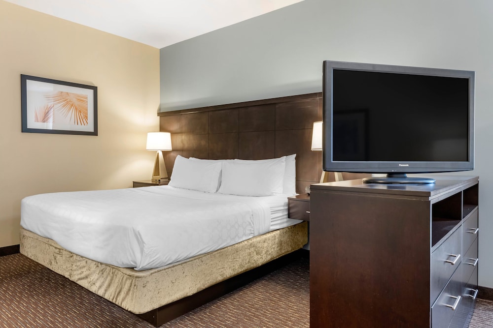 Staybridge Suites St. Petersburg Downtown by IHG — Hotel rooms in Gulfport, Florida