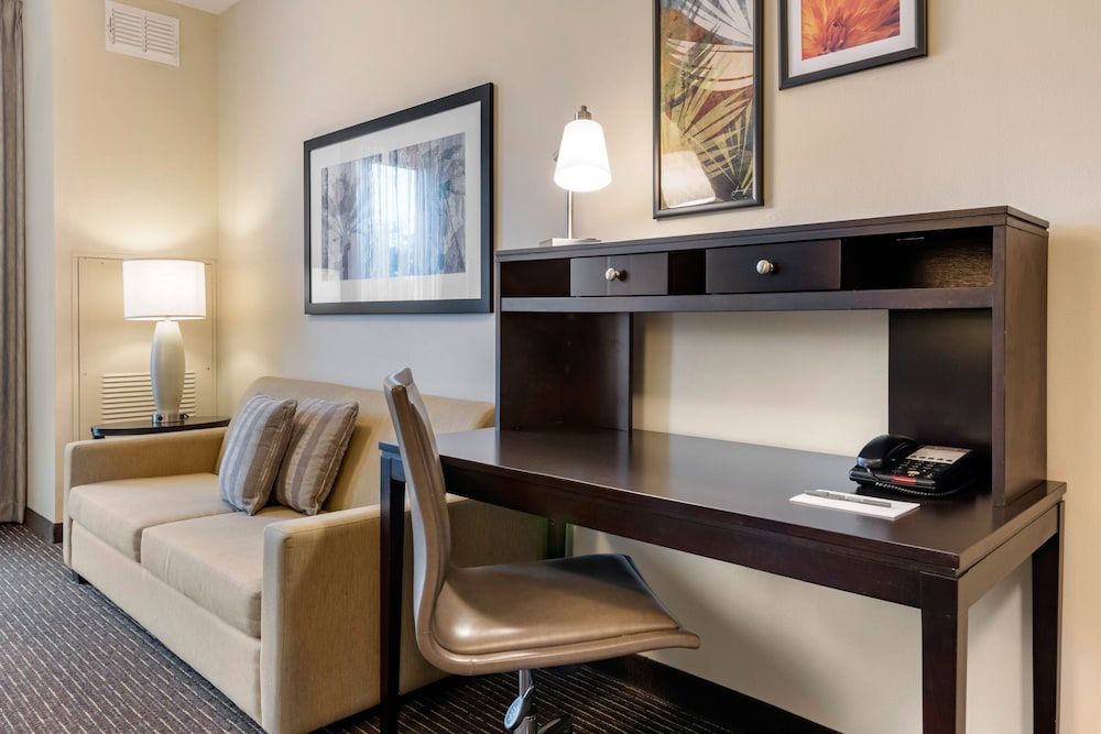 Staybridge Suites St. Petersburg Downtown by IHG — Hotel rooms in Gulfport, Florida