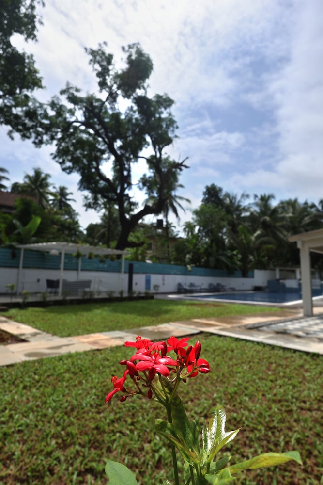 Ramada by Wyndham Goa Arpora — Swimming pool in Arpora, Goa