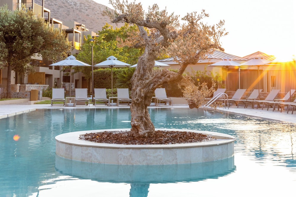 Elios Hill - Sun Kissed Happiness — Swimming pool in Hersonissos
