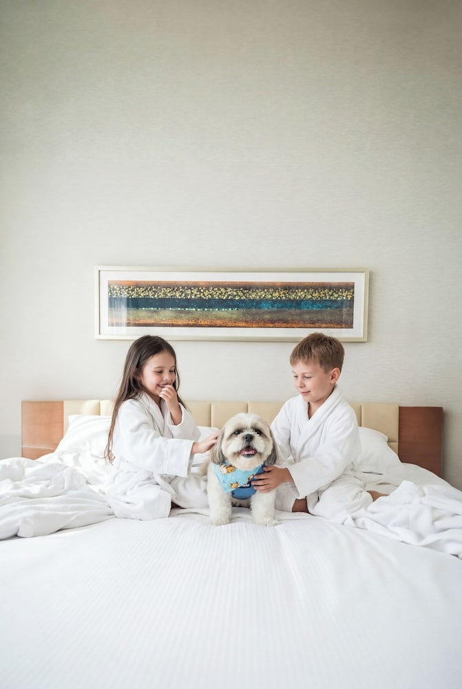DoubleTree by Hilton Dubai - Jumeirah Beach — Hotel rooms in Dubai