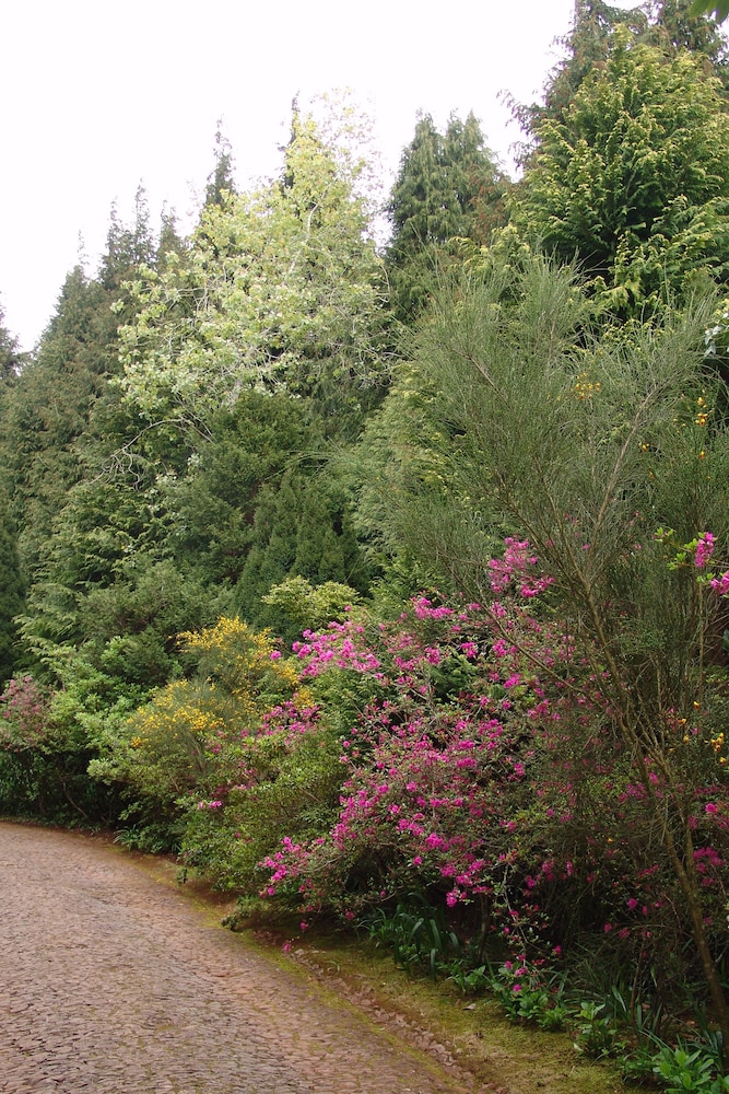 Quinta de Santo António da Serra — Attractions in the area in Santa Cruz, Madeira