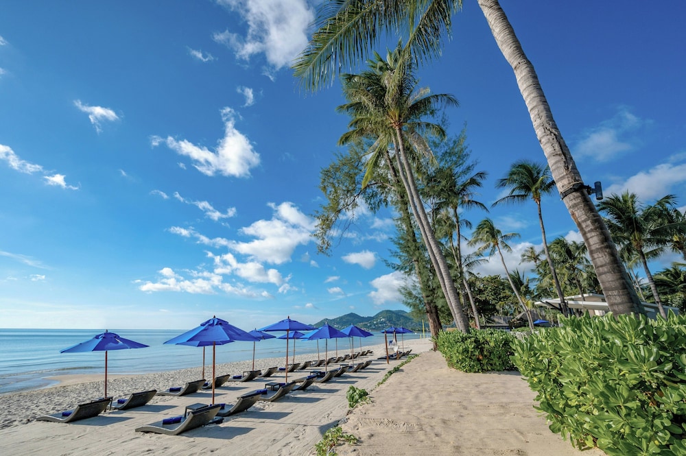 OZO Chaweng Samui — Beach in Bo Phut, Surat Thani