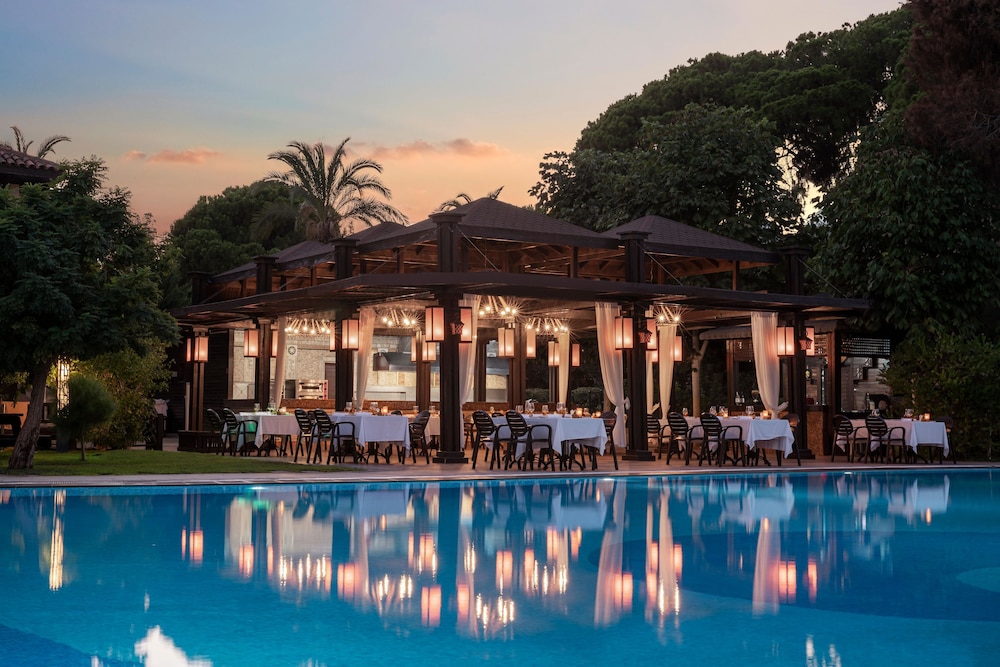 Papillon Ayscha Resort & Spa - All Inclusive — Restaurant & bars in Belek
