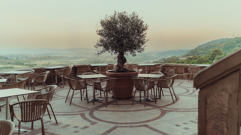 Zinar Castle — Restaurant & bars in Krakow, Lesser Poland