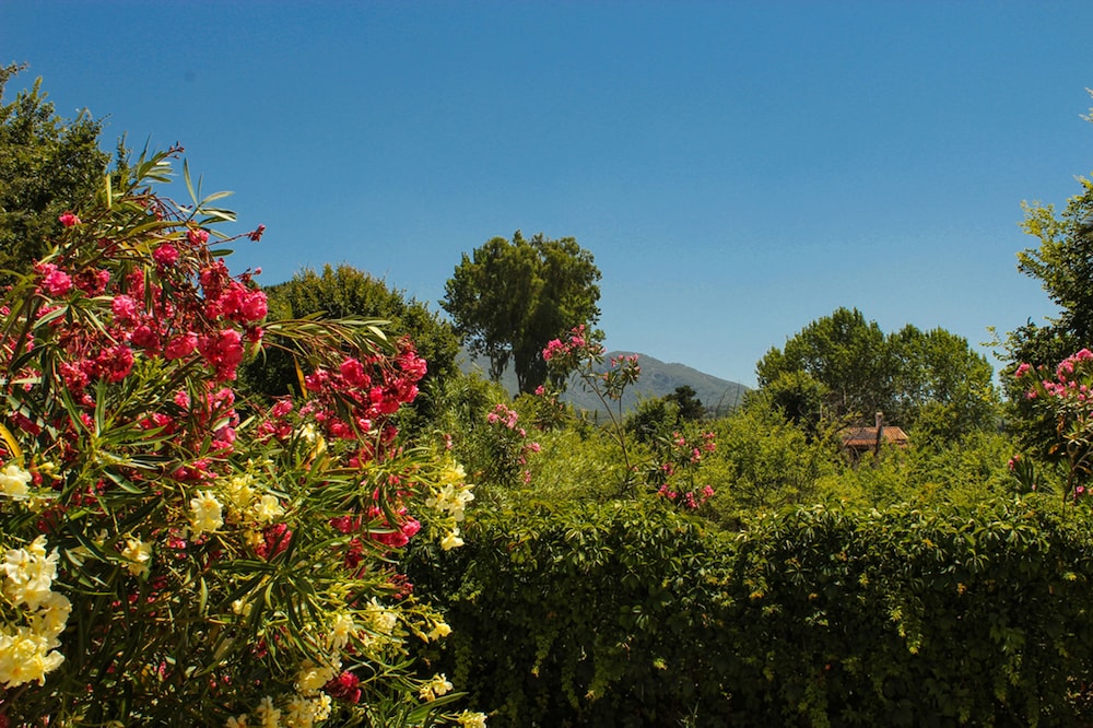 Nireas Resort Corfu — Attractions in the area in Acharavi, Ionian Islands