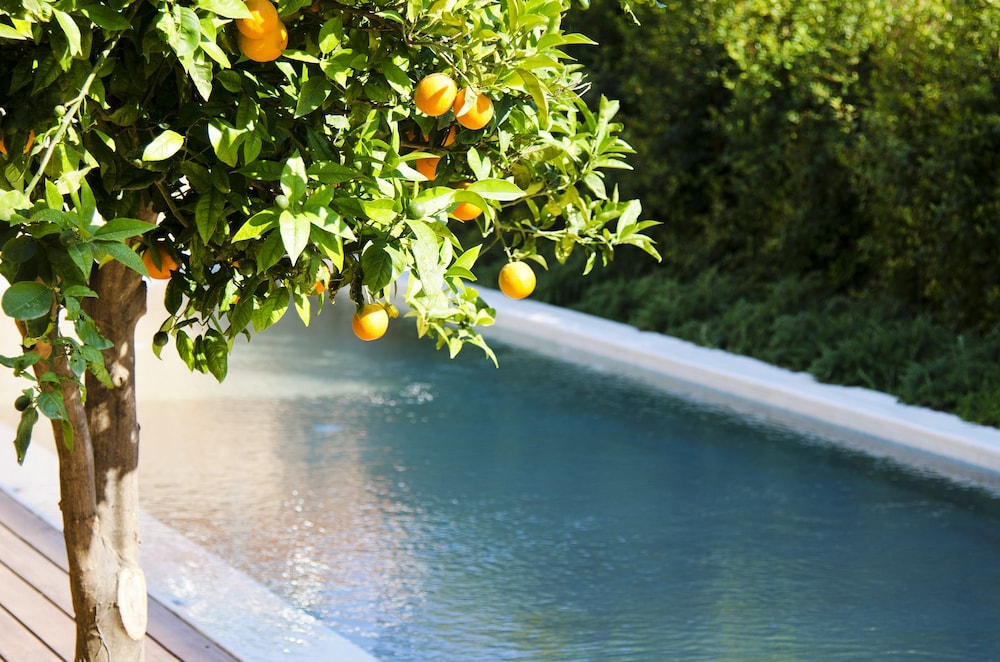 Conte Marino Villas — Outdoor in Platanias