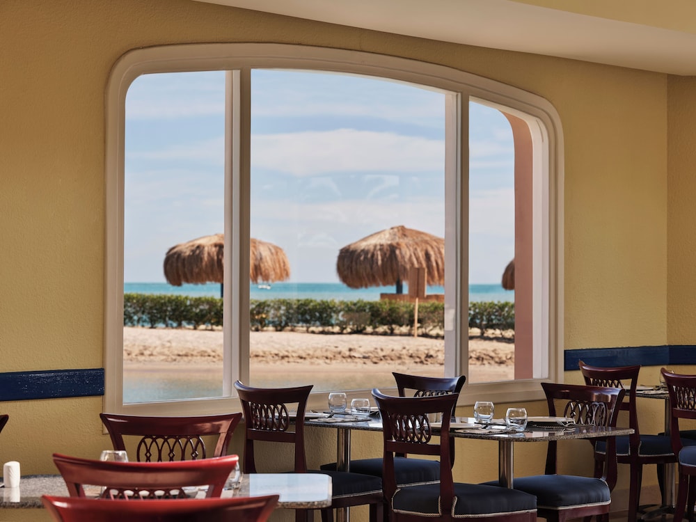 Club Paradisio El Gouna Red Sea — Restaurant & bars in El Gouna, Red Sea