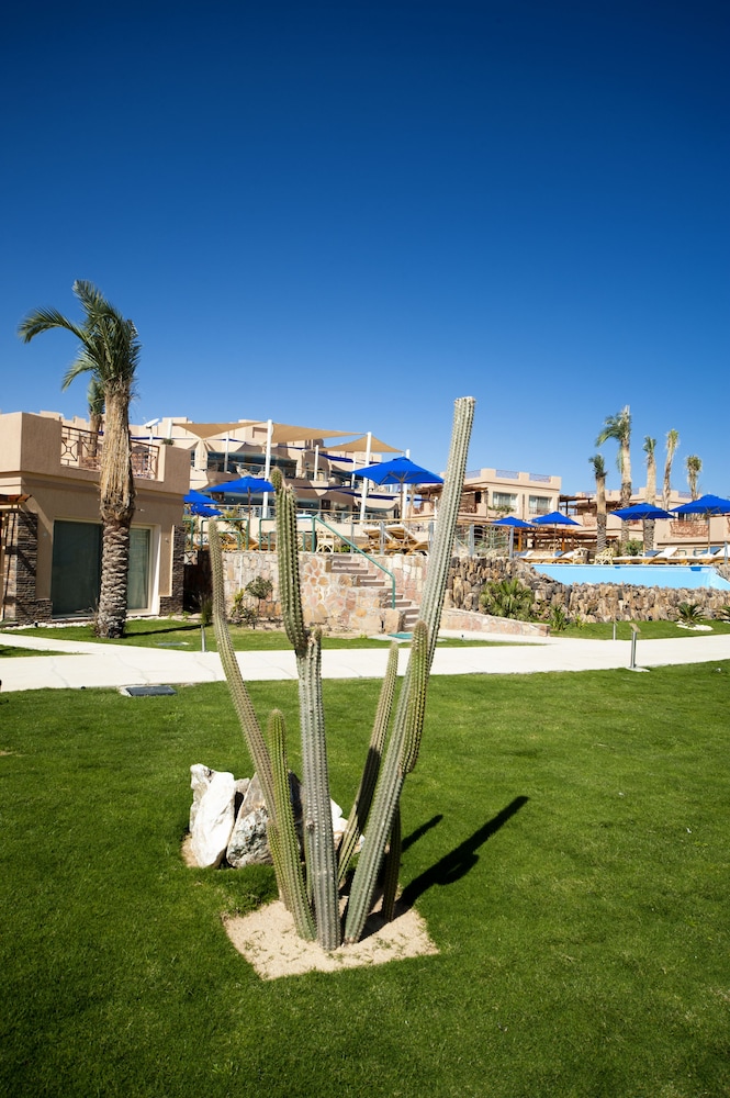 Shams Prestige Abu Soma Resort - All inclusive — Swimming pool in Safaga, Red Sea