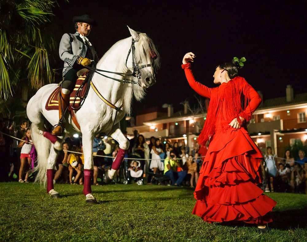 Aparthotel ILUNION Sancti Petri — Attractions in the area in Chiclana de la Frontera, Andalusia