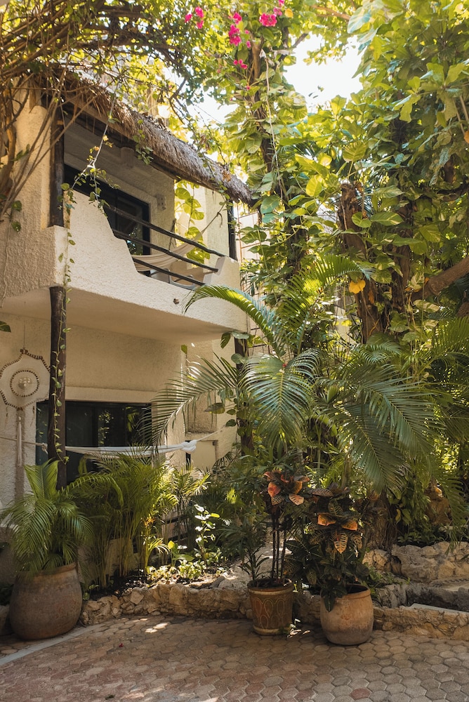 Hotel Casa Colibri — Hotel building in Playa del Carmen, Quintana Roo