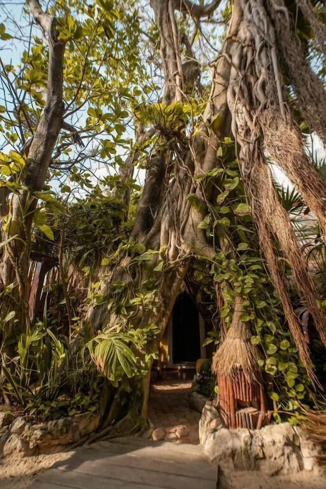 Hotel Casa Colibri — Attractions in the area in Playa del Carmen, Quintana Roo